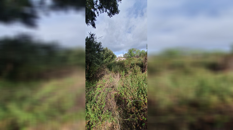 Ma-Cabane - Vente Terrain PETRETO BICCHISANO, 3000 m²