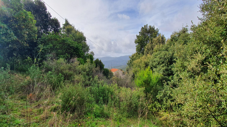 Ma-Cabane - Vente Terrain PETRETO BICCHISANO, 1000 m²