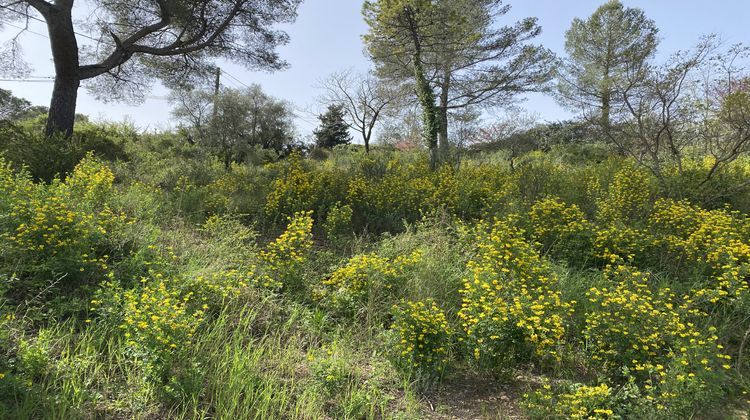 Ma-Cabane - Vente Terrain Peymeinade, 1425 m²