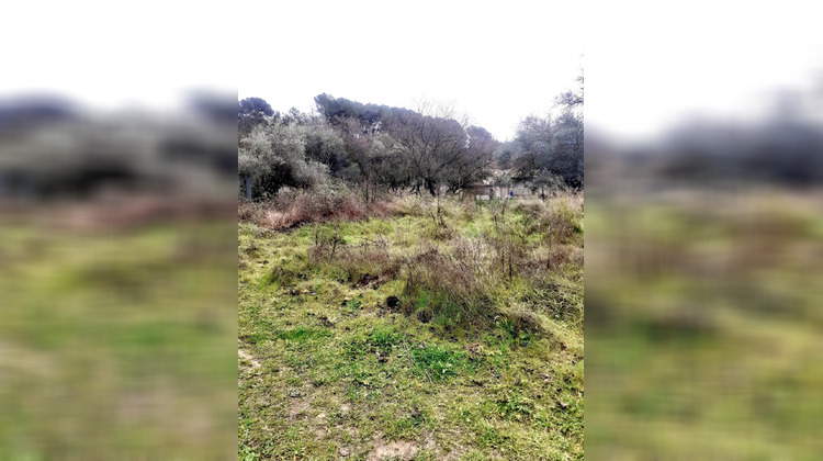 Ma-Cabane - Vente Terrain Peypin, 6381 m²