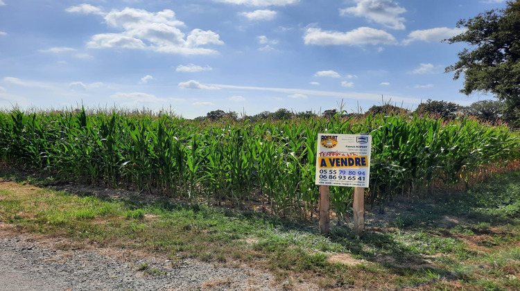 Ma-Cabane - Vente Terrain Peyrat-de-Bellac, 0 m²