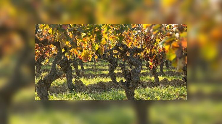 Ma-Cabane - Vente Terrain PEYRESTORTES, 42725 m²