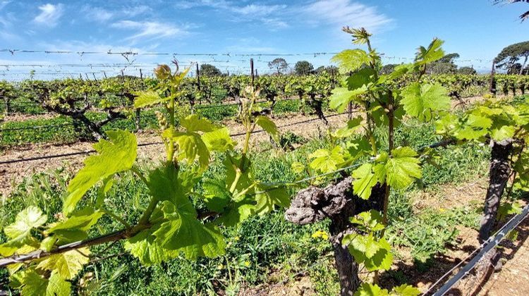 Ma-Cabane - Vente Terrain PEYRESTORTES, 42725 m²