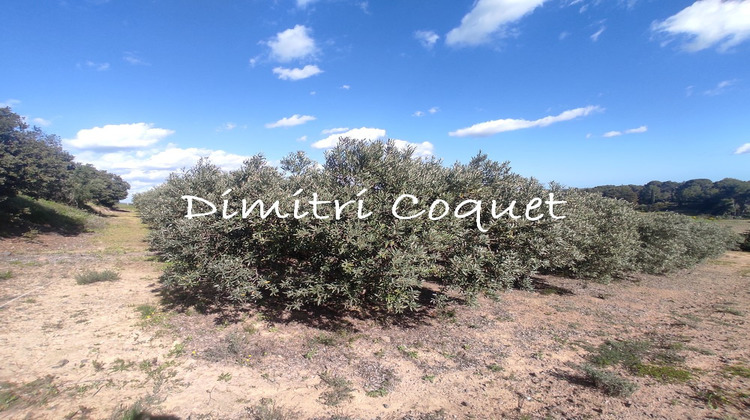 Ma-Cabane - Vente Terrain PEZENAS, 5280 m²