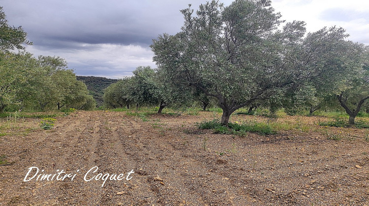 Ma-Cabane - Vente Terrain PEZENAS, 8000 m²