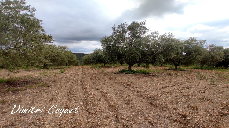 Ma-Cabane - Vente Terrain PEZENAS, 8000 m²