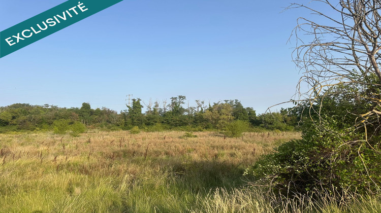 Ma-Cabane - Vente Terrain Pezenas, 9223 m²