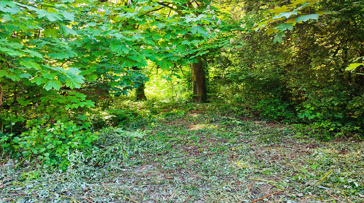 Ma-Cabane - Vente Terrain PFASTATT, 545 m²