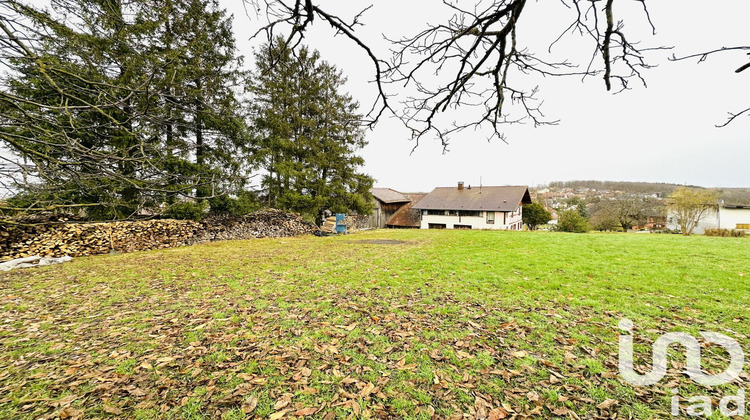Ma-Cabane - Vente Terrain Pfetterhouse, 5000 m²