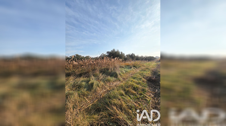 Ma-Cabane - Vente Terrain Pia, 5801 m²