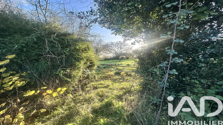 Ma-Cabane - Vente Terrain Picauville, 970 m²