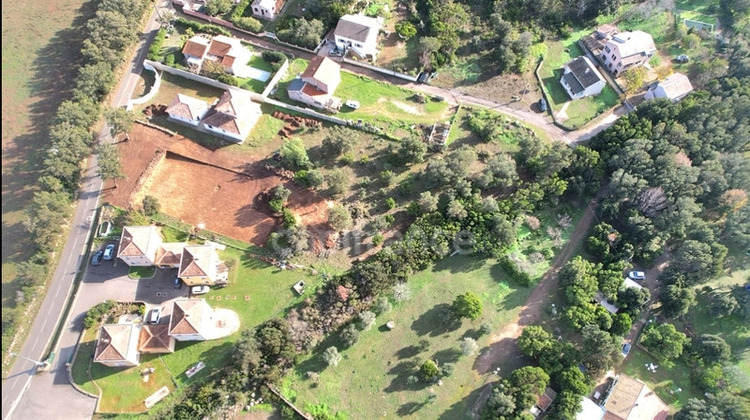 Ma-Cabane - Vente Terrain PIETRACORBARA, 2362 m²