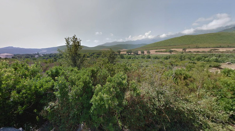 Ma-Cabane - Vente Terrain Pietracorbara, 2998 m²
