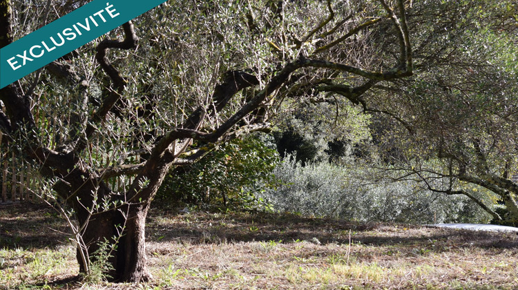 Ma-Cabane - Vente Terrain Pignans, 702 m²