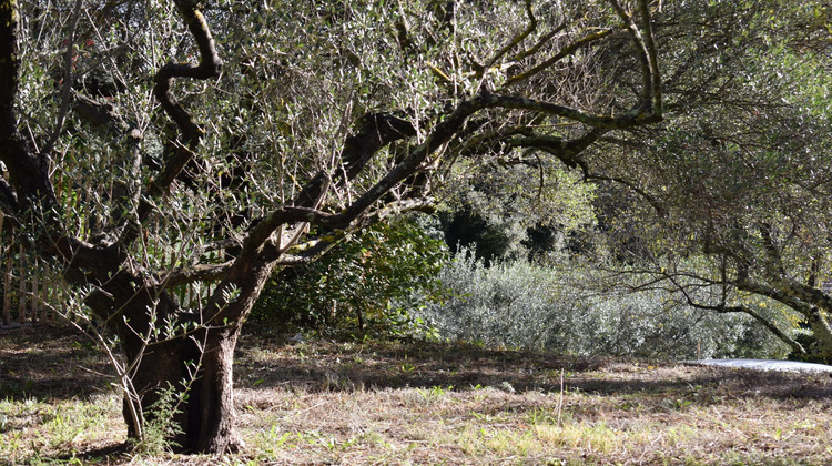 Ma-Cabane - Vente Terrain Pignans, 702 m²