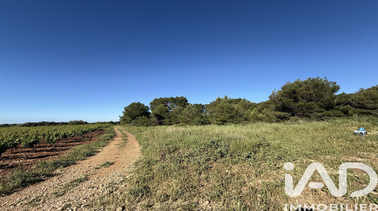 Ma-Cabane - Vente Terrain Pinet, 8424 m²