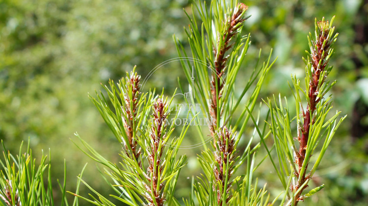 Ma-Cabane - Vente Terrain PISSOS, 2075 m²
