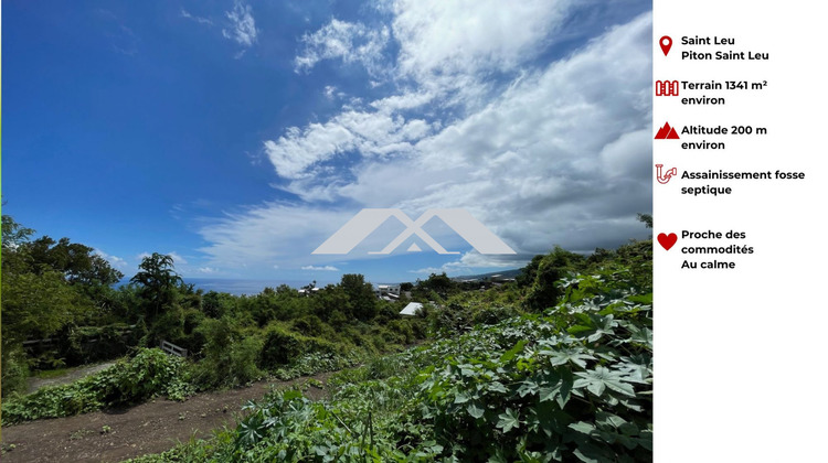 Ma-Cabane - Vente Terrain piton saint leu, 1341 m²
