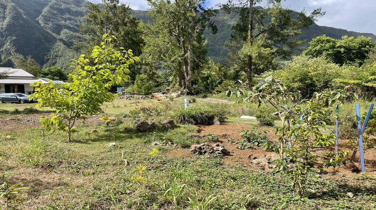 Ma-Cabane - Vente Terrain Plaine-des-Palmistes, 1200 m²