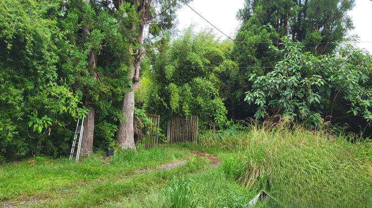 Ma-Cabane - Vente Terrain Plaine-des-Palmistes, 1293 m²