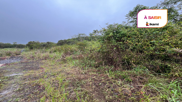 Ma-Cabane - Vente Terrain Plaine-des-Palmistes, 469 m²