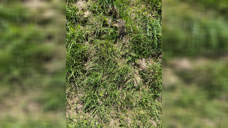 Ma-Cabane - Vente Terrain PLERIN, 943 m²