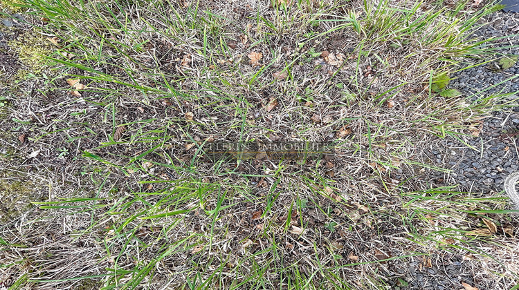 Ma-Cabane - Vente Terrain PLERIN, 1234 m²