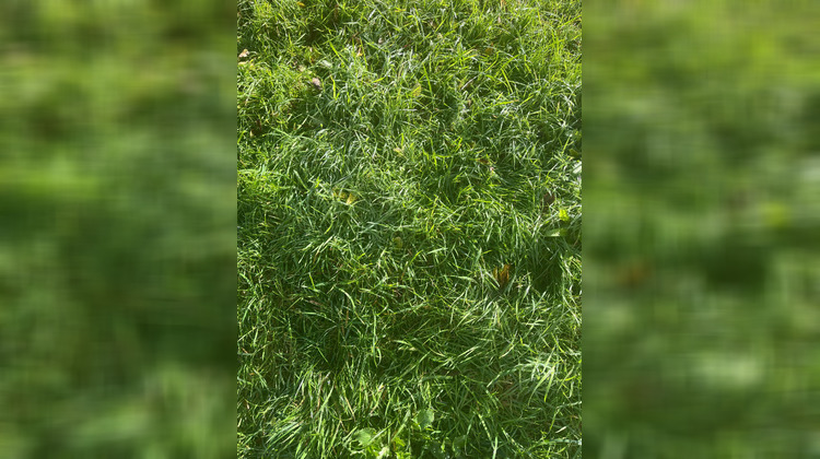 Ma-Cabane - Vente Terrain PLERIN, 406 m²