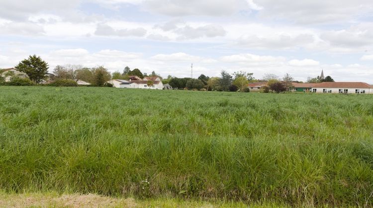 Ma-Cabane - Vente Terrain PLEUMARTIN, 1590 m²