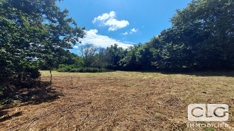 Ma-Cabane - Vente Terrain PLEUVEN, 2090 m²
