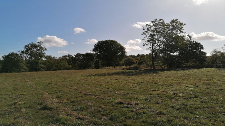 Ma-Cabane - Vente Terrain PLOERMEL, 4000 m²