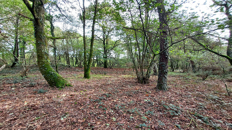 Ma-Cabane - Vente Terrain PLUMELEC, 31050 m²