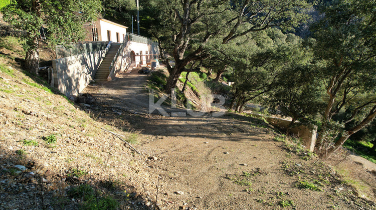 Ma-Cabane - Vente Terrain POGGIO-D'OLETTA, 1550 m²