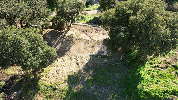 Ma-Cabane - Vente Terrain POGGIO-D'OLETTA, 1550 m²