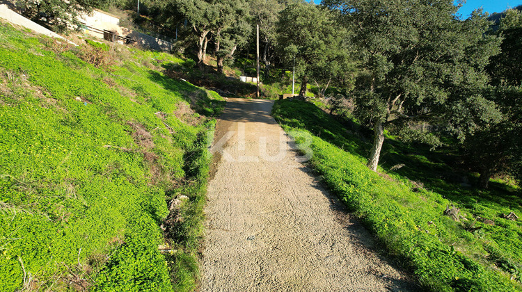 Ma-Cabane - Vente Terrain POGGIO-D'OLETTA, 1550 m²