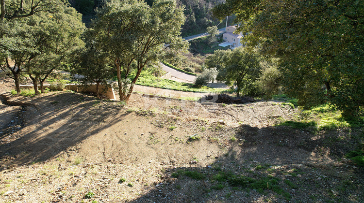 Ma-Cabane - Vente Terrain POGGIO-D'OLETTA, 1550 m²