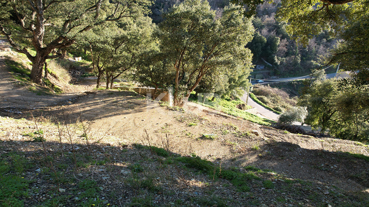 Ma-Cabane - Vente Terrain POGGIO-D'OLETTA, 1550 m²