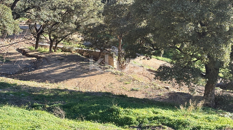 Ma-Cabane - Vente Terrain POGGIO-D'OLETTA, 1550 m²