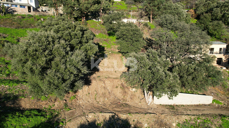 Ma-Cabane - Vente Terrain POGGIO-D'OLETTA, 1550 m²