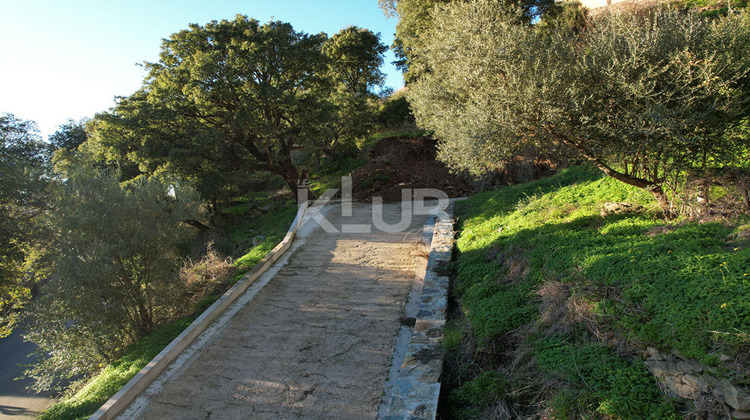 Ma-Cabane - Vente Terrain POGGIO-D'OLETTA, 1550 m²