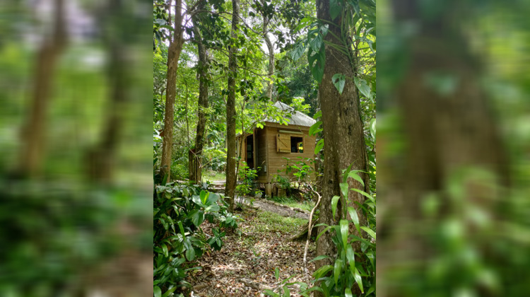 Ma-Cabane - Vente Terrain POINTE-NOIRE, 5005 m²