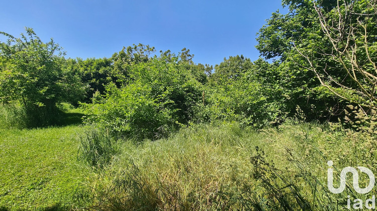 Ma-Cabane - Vente Terrain Poitiers, 1303 m²