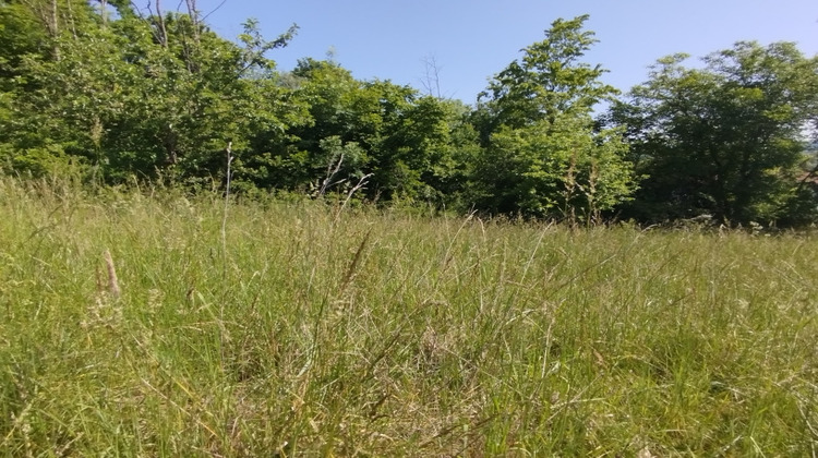 Ma-Cabane - Vente Terrain PONT-A-MOUSSON, 1553 m²