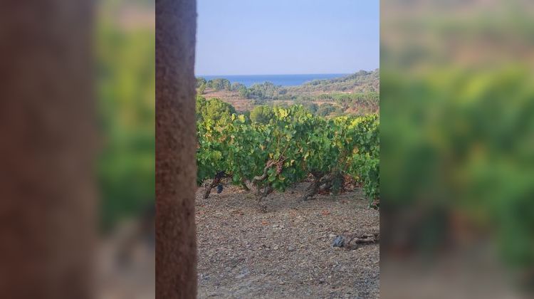 Ma-Cabane - Vente Terrain Port-Vendres, 1136 m²