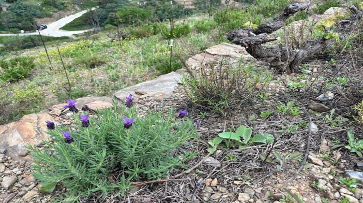 Ma-Cabane - Vente Terrain Port-Vendres, 8700 m²