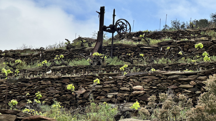 Ma-Cabane - Vente Terrain Port-Vendres, 8700 m²