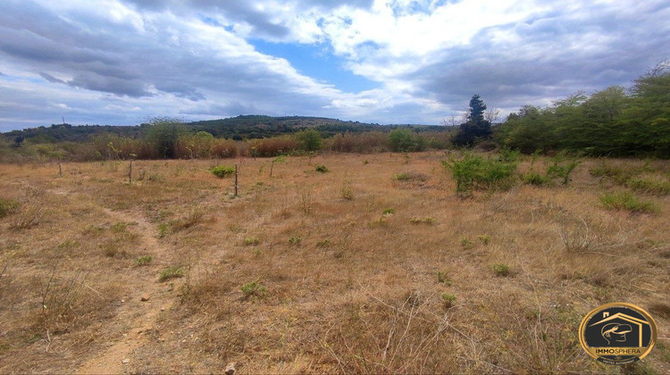 Ma-Cabane - Vente Terrain Portel-des-Corbières, 5260 m²