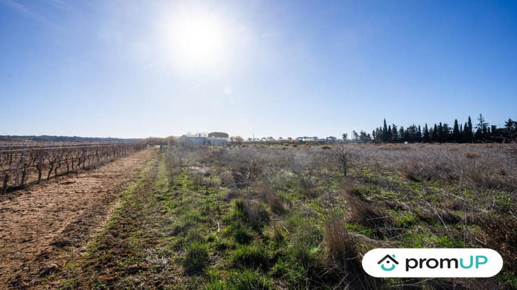 Ma-Cabane - Vente Terrain Portiragnes, 3200 m²