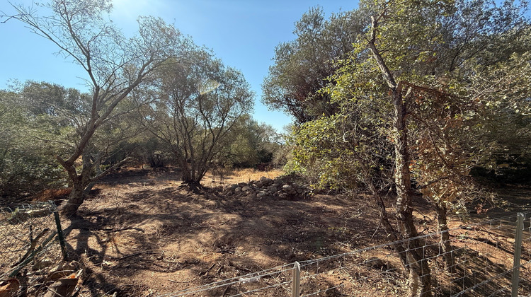 Ma-Cabane - Vente Terrain Porto-Vecchio, 1440 m²