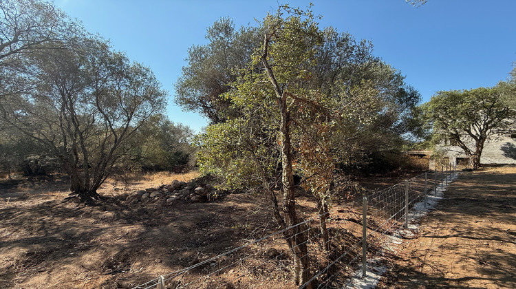 Ma-Cabane - Vente Terrain Porto-Vecchio, 1440 m²